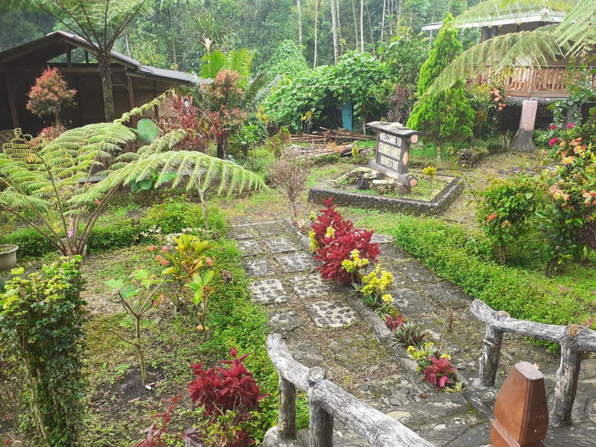 Ijen Miner Family Homestay บันยูวังงี ภายนอก รูปภาพ
