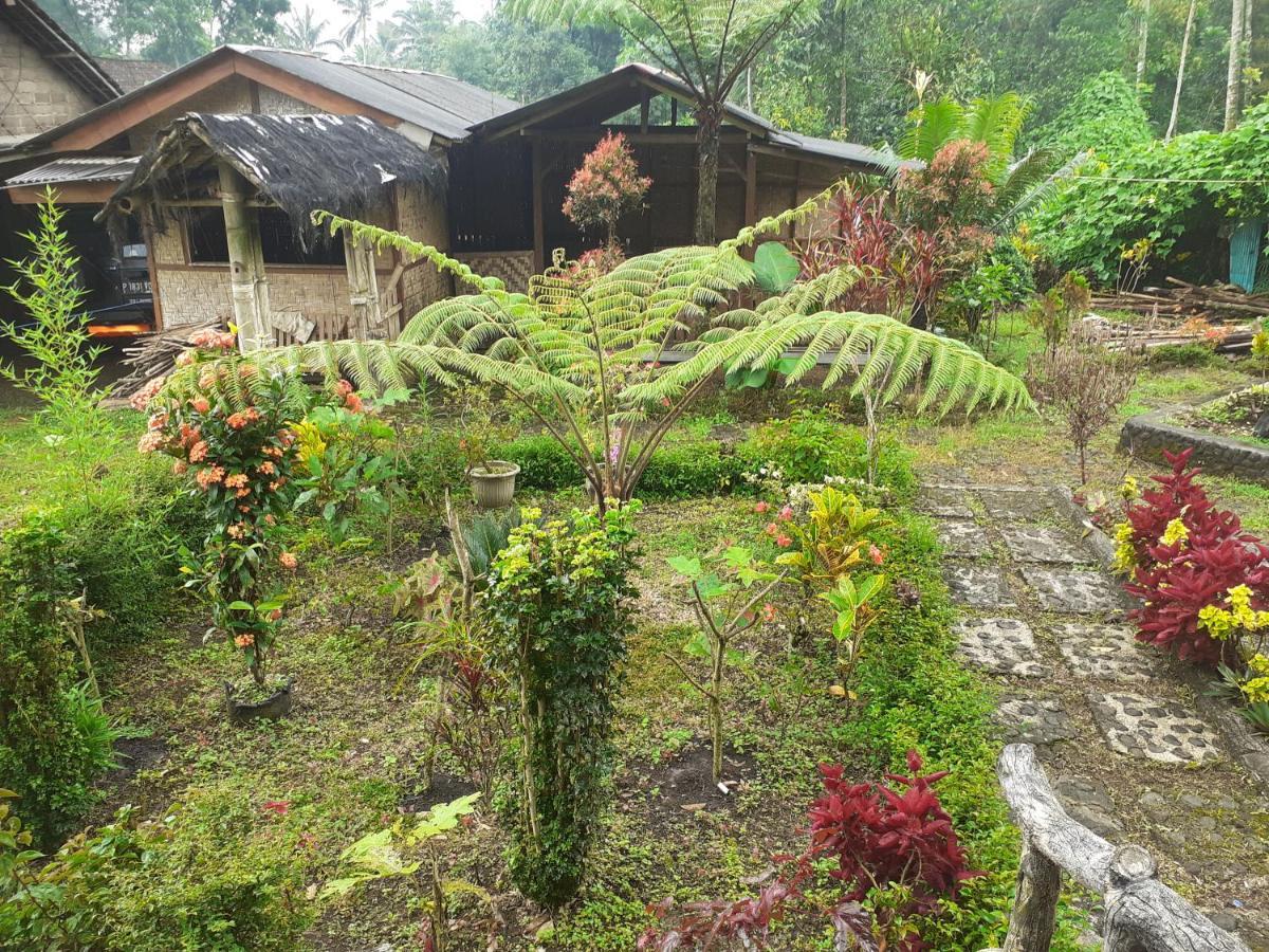 Ijen Miner Family Homestay บันยูวังงี ภายนอก รูปภาพ